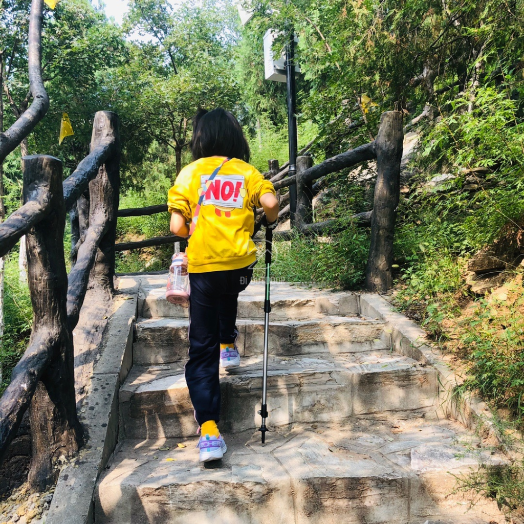 Gậy trekking leo núi rút gọn naturehike nh17d001-z Gậy leo núi rút gọn naturehike nh17d001-z