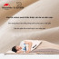 Túi ngủ Cotton siêu nhẹ L150 Naturehike NH20MSD05
