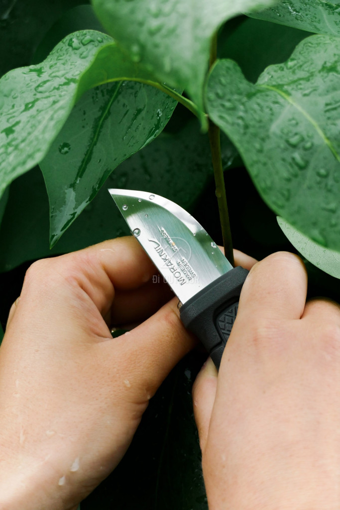 Dao morakniv eldris lightduty (s) - nhỏ gọn & đa năng