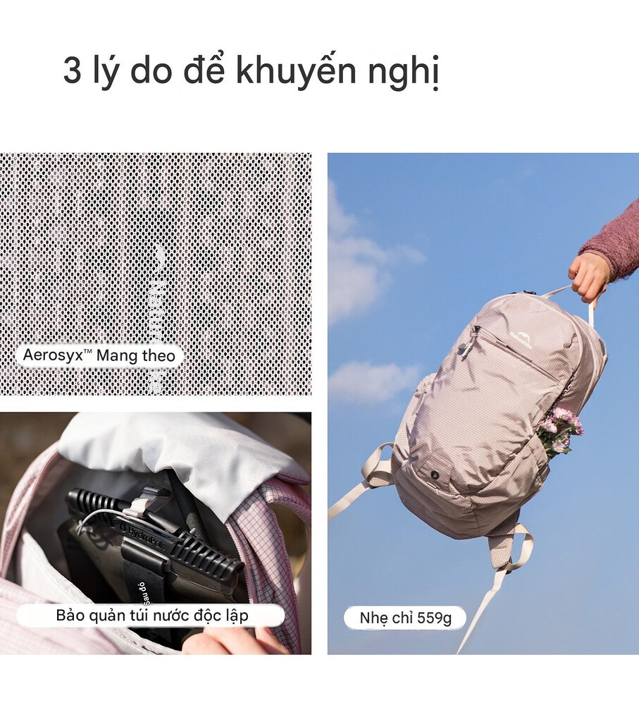 Đệm lưng dạng lưới tổ ong tản nhiệt trên balo dã ngoại naturehike longwa base 20